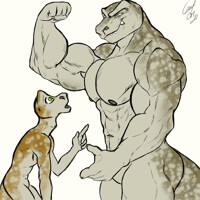 Komodo Brothers