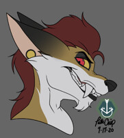 9-17-20 Kaygus Color