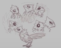 birb omens