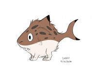 Shark kitten