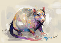 Kaze Digital Portrait