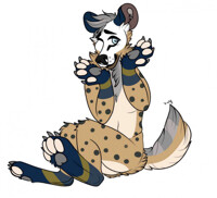 Jake Trafalgar body type outdated