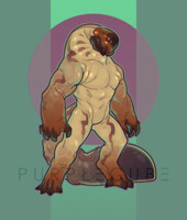 Adopt auction [closed] Melolontha larvae