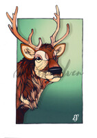 P - Reindeer