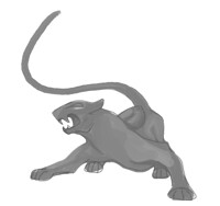 CoolCat logo