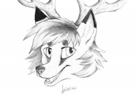 Headshot By Wolfskii