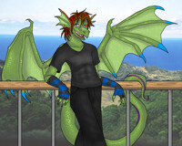 Comission done by Metallixfaker