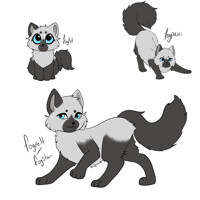 Fogpelt character sheet
