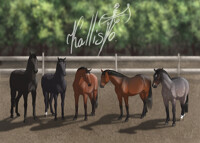 Five horses