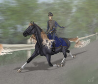 Army competitions