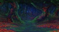 Magical forest