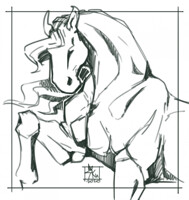 horse sketch