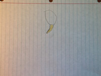 Rocky’s Tribal Necklace