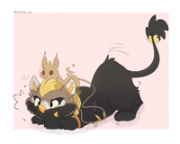 ready to jump!!!🐾✨