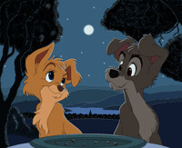 Bella Notte "without collars"