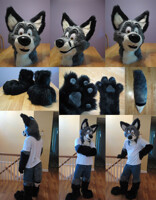 Last Day on Toony Gray Fox partial by Kiwi
