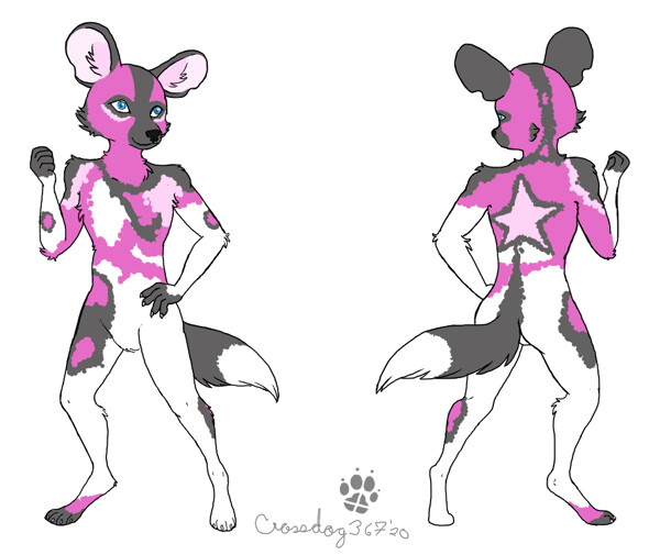 COMMISSION - Aurora Wild Dog by Crossdog367 -- Fur Affinity [dot] net COMMISSION - Aurora Wild Dog by Crossdog367