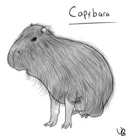 Inktober Day 6 Rodent