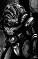 Grunt - Krogan Warrior and my favorite.