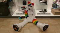 Cat Sit