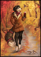 Autumn Walk