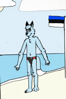 Terry the Blue Fox on a Beach in Estonia