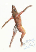 The Dancer 