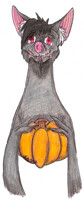 Halloween Pumpkin 20- Drake the Rapto-Bat