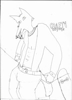 CRAFTY COYOTE