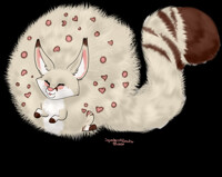 Fluff Fox