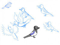 Warm up doodles 7