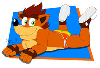 Crash Bandi-briefs