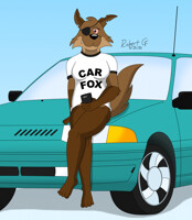 Fuxie and the Perfect Car