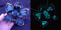 Blue Moth, glowing in the dark and UV light