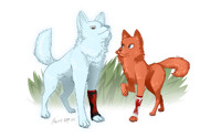 [Comm] Valsin and Medalia