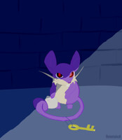 Cedar the Rattata