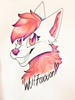 My part of a badge trade