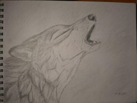 Art Practice. Howling Wolf.