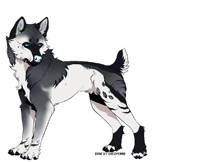 siran's starlight-sold