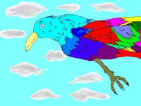 a bird from my dreams