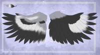 Shanshir wing pattern ref