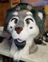 Carson Snow leopard