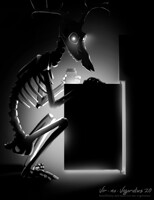 Spooktober: Bones