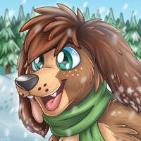 Bluefie Winter Icon