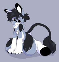 commission4