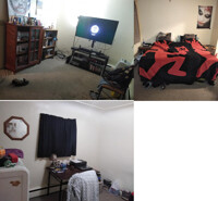 Livingroom and art room