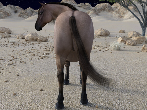 Full dapple grey horse A by WerewolfCZ -- Fur Affinity [dot] net