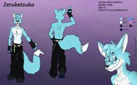 Zeruketsuka's Character Sheet