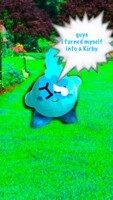 Kirbble