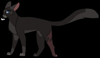 Warrior Cats- Firepaw, Graypaw, Ravenpaw by Woofstep -- Fur Affinity [dot]  net